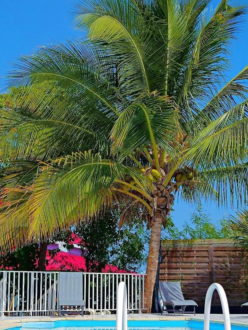 Villa Serenity Saint-Francois  0*, Saint-Francois (Grande-Terre) Guadalupa